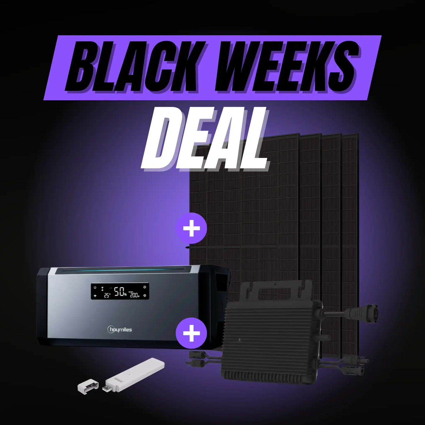 HiBattery + HMS-1600 | 1600W Power-Bundle