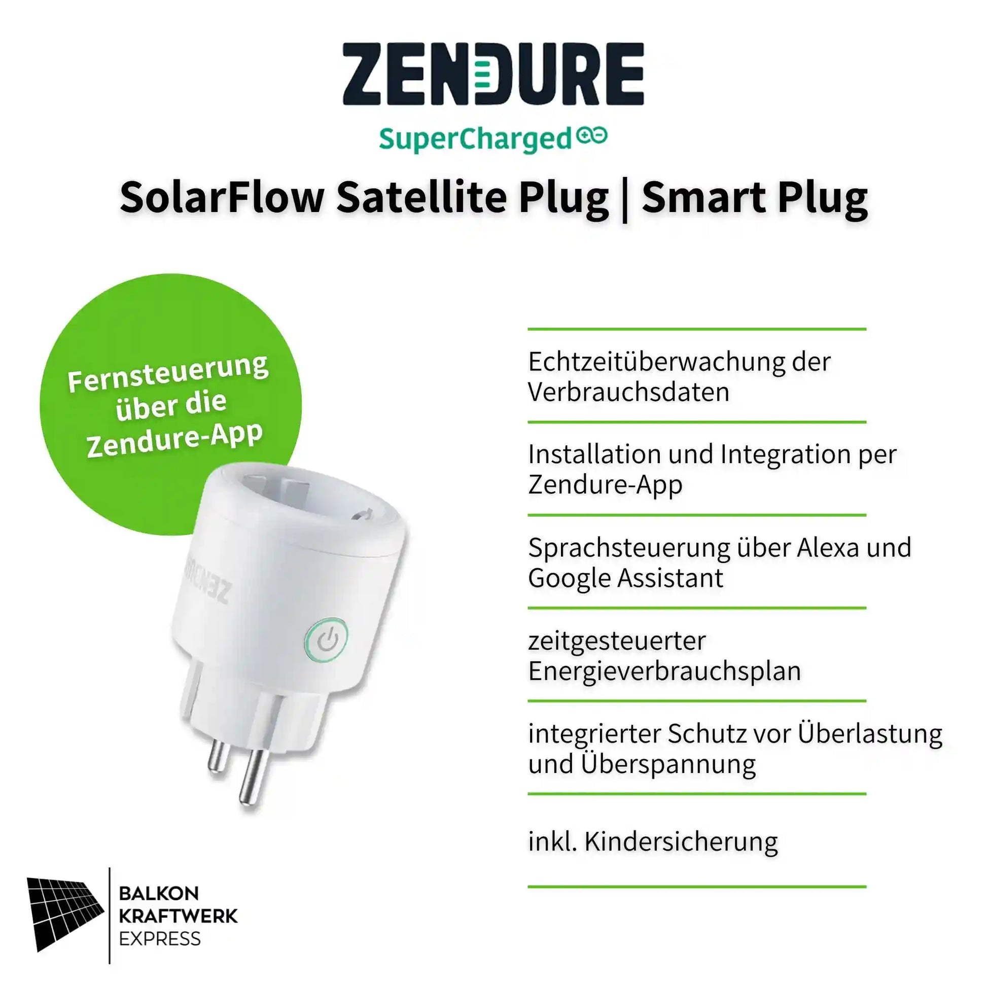 Zendure Satellite Plug Smart Plug