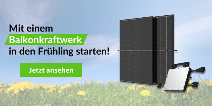 Linkes Bild
